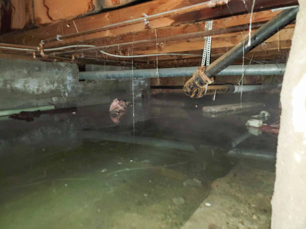 Best 24/7 water damage repair  in Woodbury, NJ