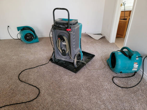 Best Emergency water damage restoration  in Woodbury, NJ