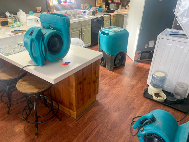 Best Local water damage restoration  in Woodbury, NJ