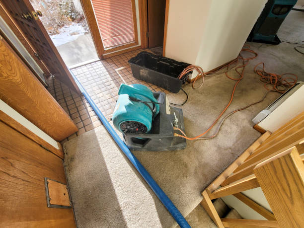Best Flood restoration services  in Woodbury, NJ