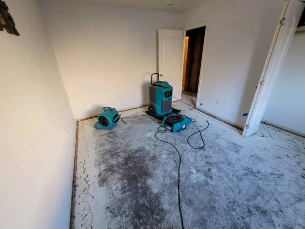 Best 24/7 water damage repair  in Woodbury, NJ