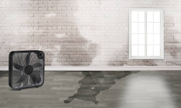 Best Water damage restoration near me  in Woodbury, NJ