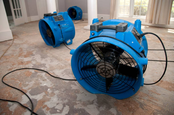 Best Flood damage cleanup  in Woodbury, NJ