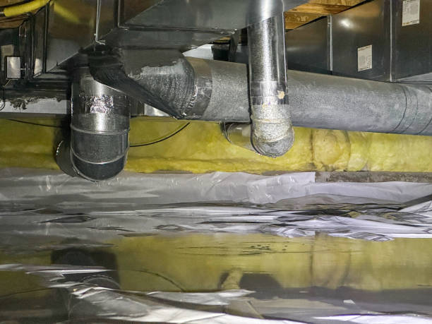 Best Water damage restoration experts  in Woodbury, NJ