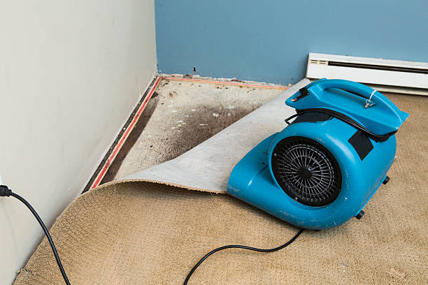 Best Professional water damage repair  in Woodbury, NJ